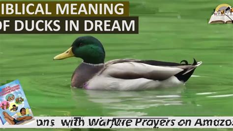 The Psychological Significance of Dreams Involving Ducks