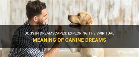 The Psychological Significance of the Canine Cranium within Dreamscapes