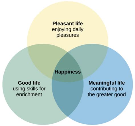 The Pursuit of Emotional Contentment