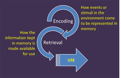 The Relationship Between Dreams and Memory Encoding