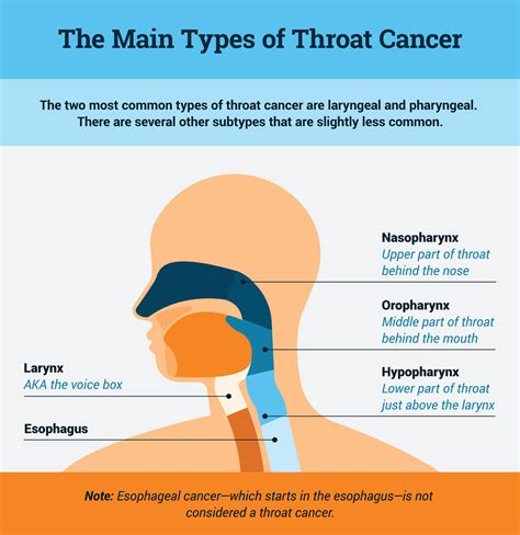 The Relationship Between Lifestyle Choices and Throat Cancer