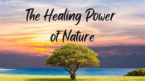 The Restorative Power of Nature: Revitalizing Advantages