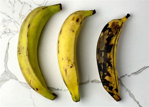 The Rich Historical Background and Origins of Plantains