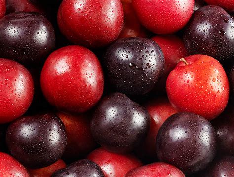 The Rich History and Cultural Significance of Crimson Plums