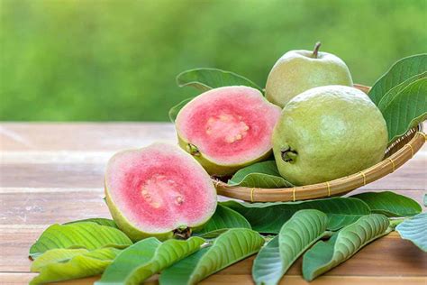 The Ripe Guava: Symbolizing Fertility and Abundance