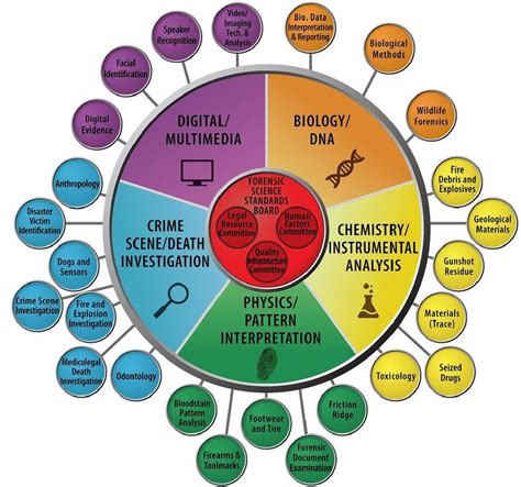 The Role of Forensic Medicine in Crime Solution