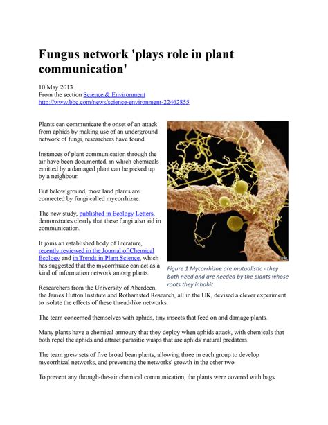 The Role of Fungi in Botanical Communication: Silent Intermediaries