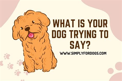 The Role of Laughter in Canine Communication: What is Your Dog Trying to Say?