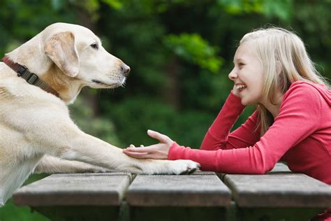 The Science Behind Canine Communication: How Dogs Interact with Humans