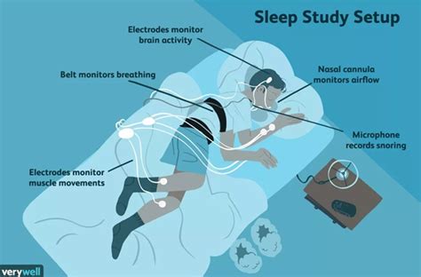 The Science Behind Dreaming: Understanding the Function of Your Brain During Sleep