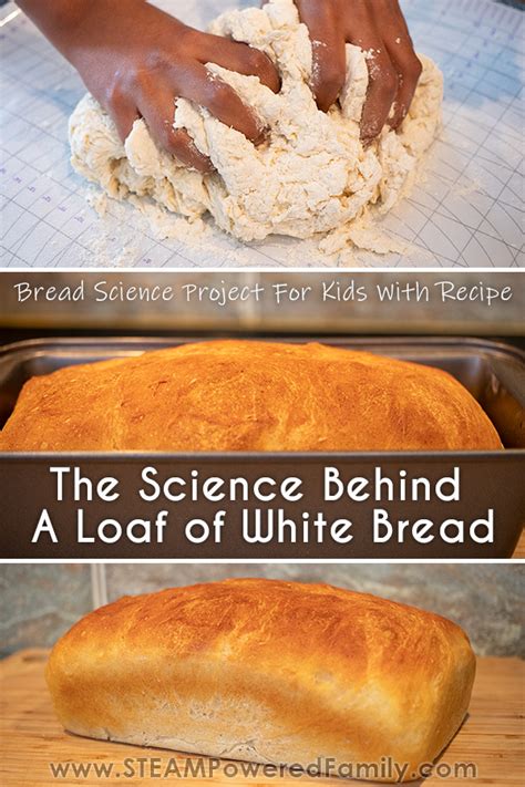 The Science Behind Heavenly Loaf Bread: Exploring the Ingredients and Techniques