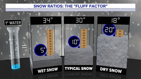 The Science Behind Snow in the Sunshine State: Exploring the Feasibility