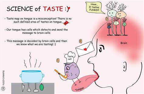 The Science Behind Taste Sensations