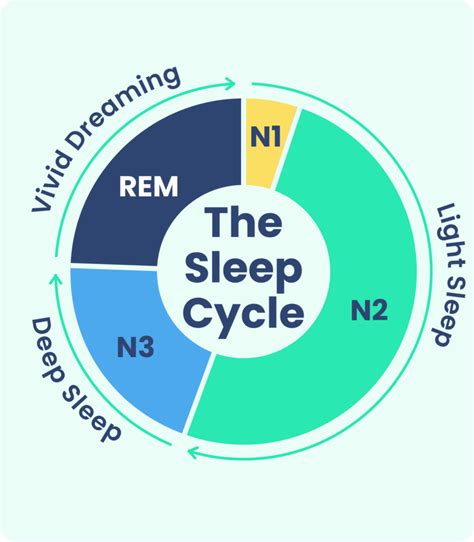 The Science of Dreams: Neurobiological Explanations and Sleep Cycles