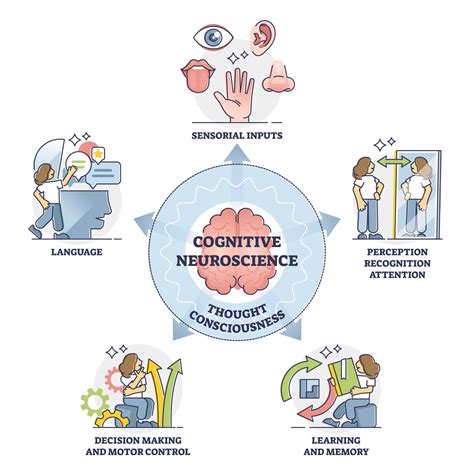 The Science of Facial Consumption in Dreaming: Perspectives from Neuroscience