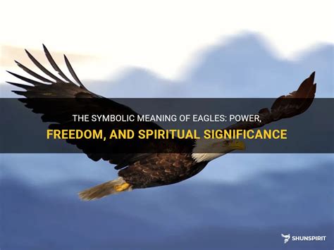 The Significance of American Eagles in a Spiritual Context: Exploring Symbolic Meanings