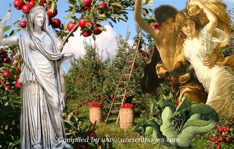 The Significance of Apples and Grapes in Ancient Folklore and Myths