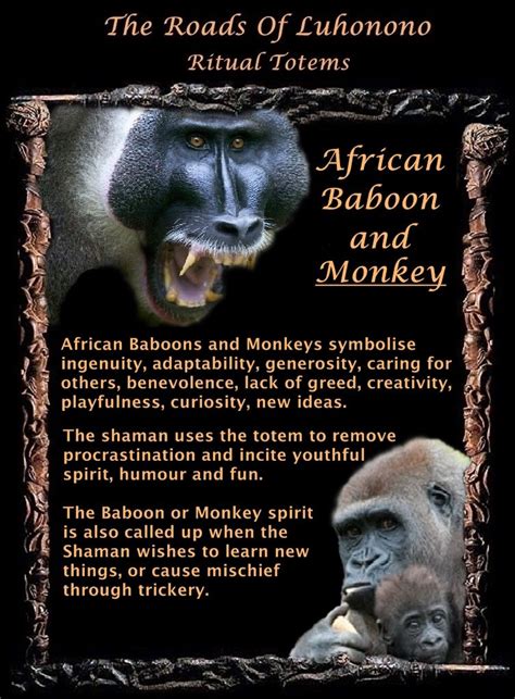 The Significance of Black Baboons in Indigenous African Dream Beliefs