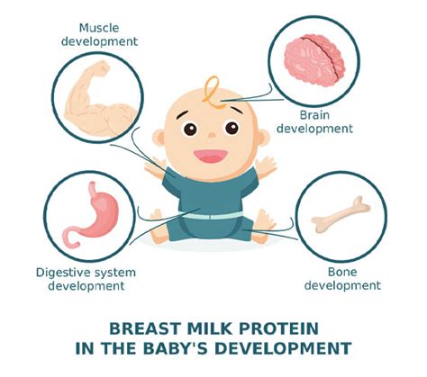 The Significance of Breast Milk Tasting in Infant Development