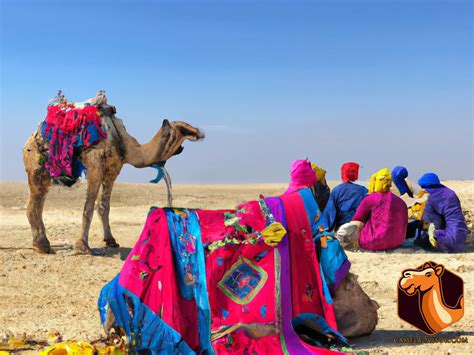 The Significance of Camels in Bedouin Culture