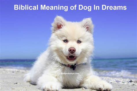 The Significance of Canine Limbs in the Interpretation of Dreams