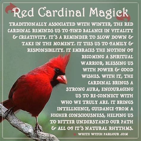 The Significance of Cardinals in Folklore and Mythology