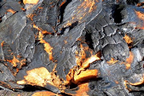 The Significance of Charred Bark in Examining Emotional States within Dreams