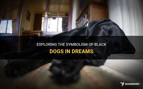 The Significance of Dark Canines in Dreams