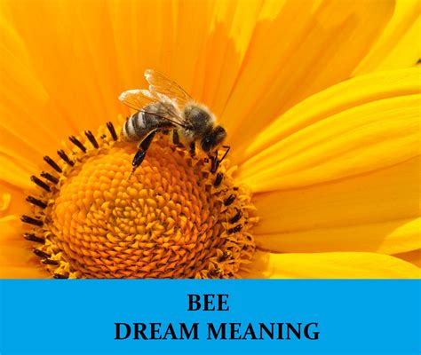 The Significance of Dreams Depicting the Demise of Bees