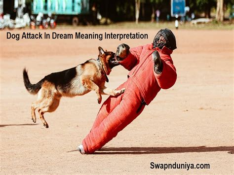 The Significance of Dreams Involving Dog Attacks