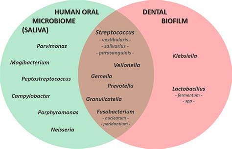 The Significance of Dreams Involving Flora Inside One's Oral Cavity