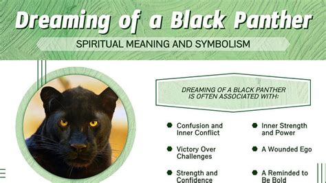 The Significance of Dreams Involving a Dark Panther Aggression