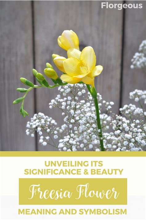 The Significance of Flowers in Various Cultural and Traditional Practices