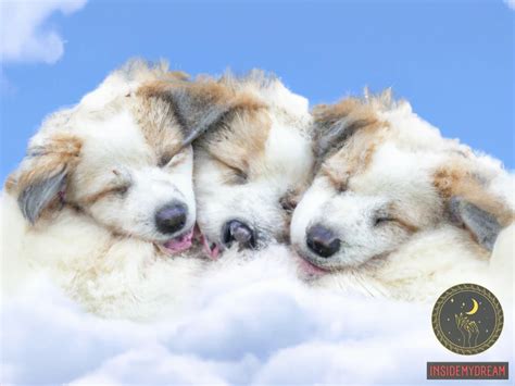 The Significance of Lifeless Puppies in Dream Analysis