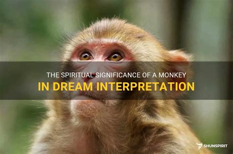 The Significance of Monkey Demise in Dreams