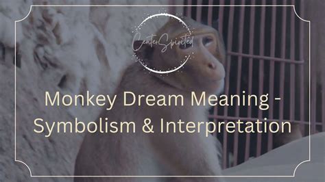 The Significance of Monkeys in Dream Symbolism