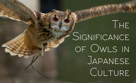 The Significance of Owl Eyes in Different Cultures