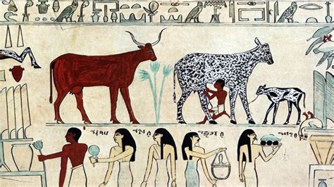 The Significance of Rain Milk in Ancient Civilizations