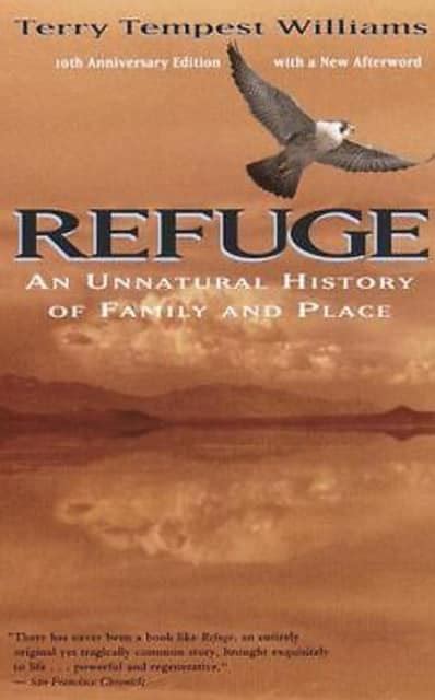 The Significance of Seeking Refuge During an Intense Tempest