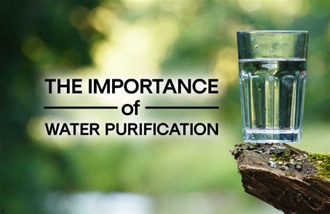 The Significance of Water as a Purifying and Cleansing Element