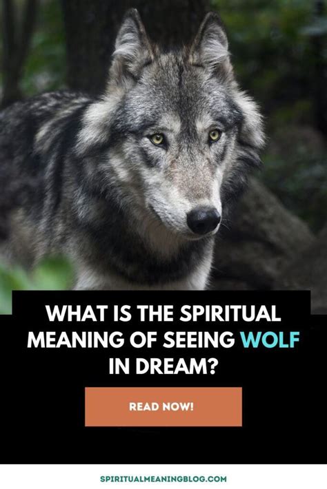 The Significance of Wolf Visions