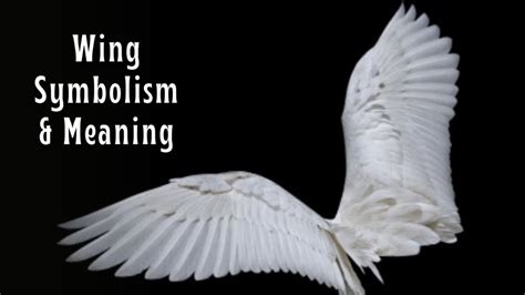 The Significance of a Bird with a Fractured Wing: Symbolism and Meaning