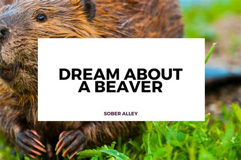 The Significance of a Dream Involving a Beaver's Bite