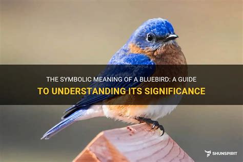 The Significance of the Bluebird Symbol in Various Cultures