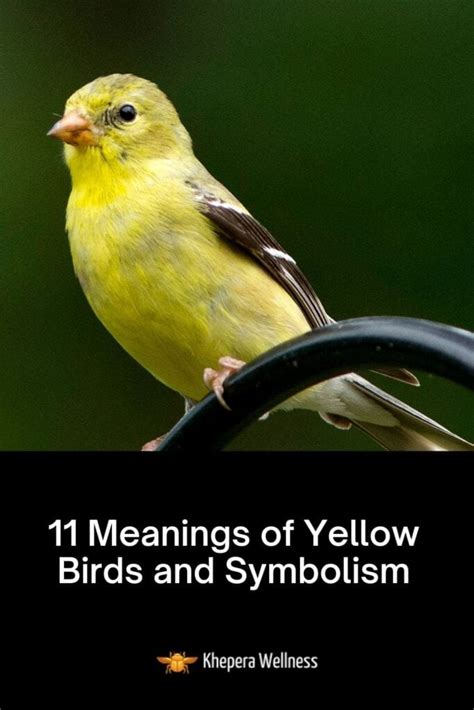 The Significance of the Pale Yellow Bird in Diverse Cultures