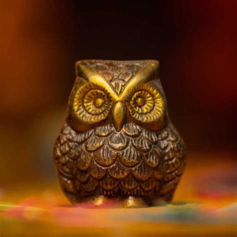 The Significance of the Yellow Owl in Bringing Good Fortune and Prosperity