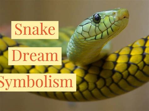 The Snake as a Guardian: Analyzing Dreams of Tiny and Enormous Serpents