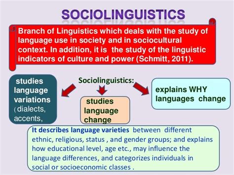 The Sociolinguistic Significance of "Dream About The Return Traducida" - An Exploration of Cultural Expression