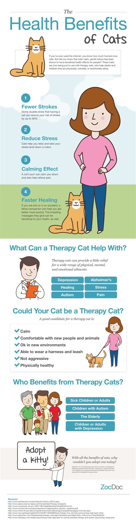 The Soothing Effect of Cat Therapy