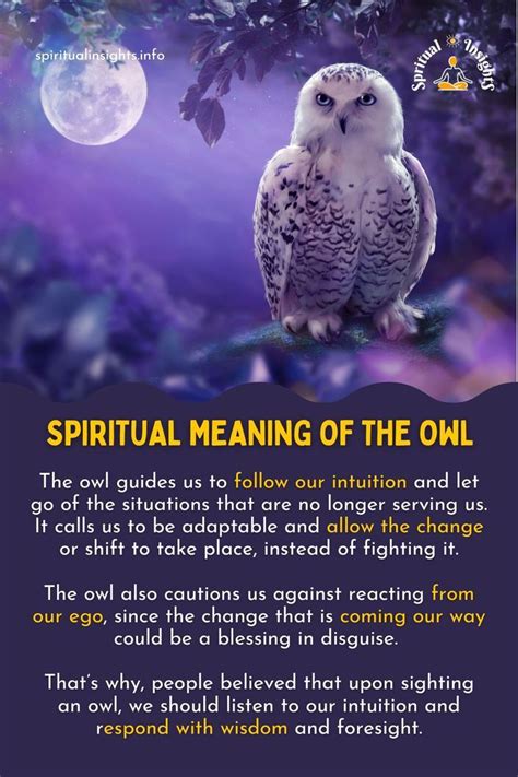 The Spiritual Connection: The Role of Owl Eyes as a Divine Messenger